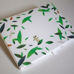 Pollard boxes produces special edition packs for personalised book publisher